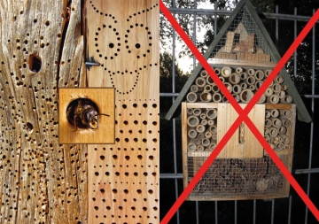 April 2021: Insektenhotels richtig bauen