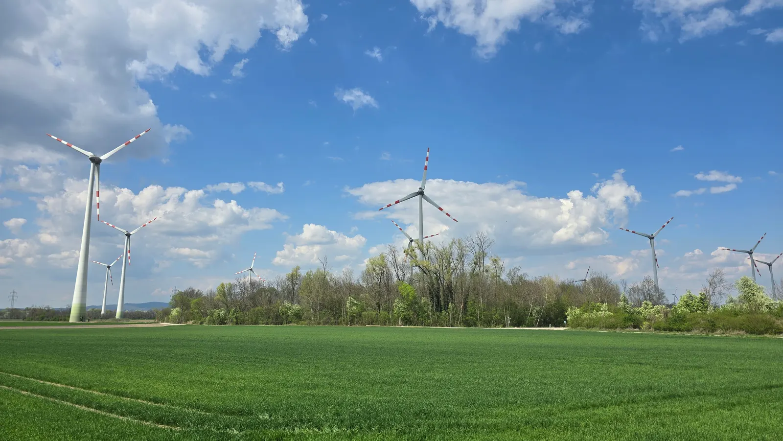 Windkraftanlagen hinter grünen Feldern