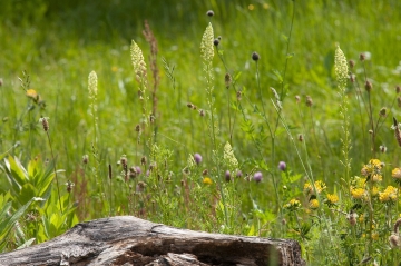 European Award for Ecological Gardening 2025
